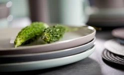 Ritzenhoff & Breker Tafelservice, 8-teilig Jasper | Mint / Weiß -ALA Geschir Verkaufs 11524731 1 202012232232