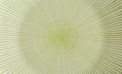 for friends Speiseteller grün Juna | Grün 26|cm -ALA Geschir Verkaufs 528132 2 201811271507